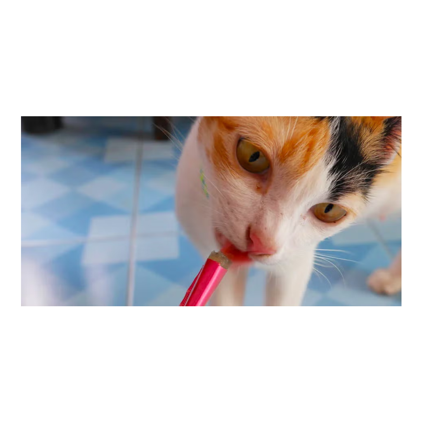 GATO SNACKS